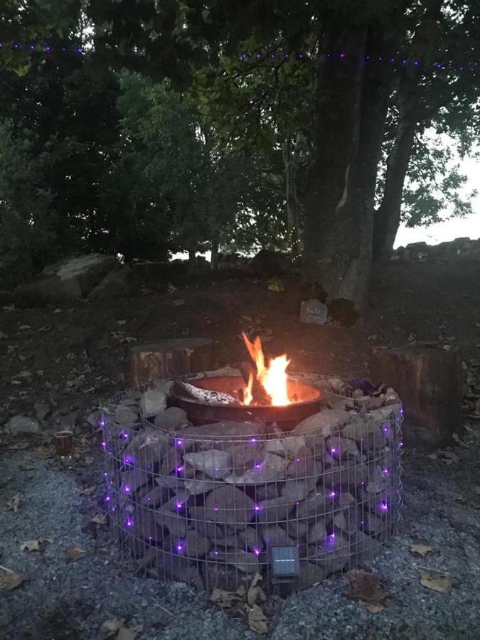 Birch Tree Cottage ويستبورت المظهر الخارجي الصورة