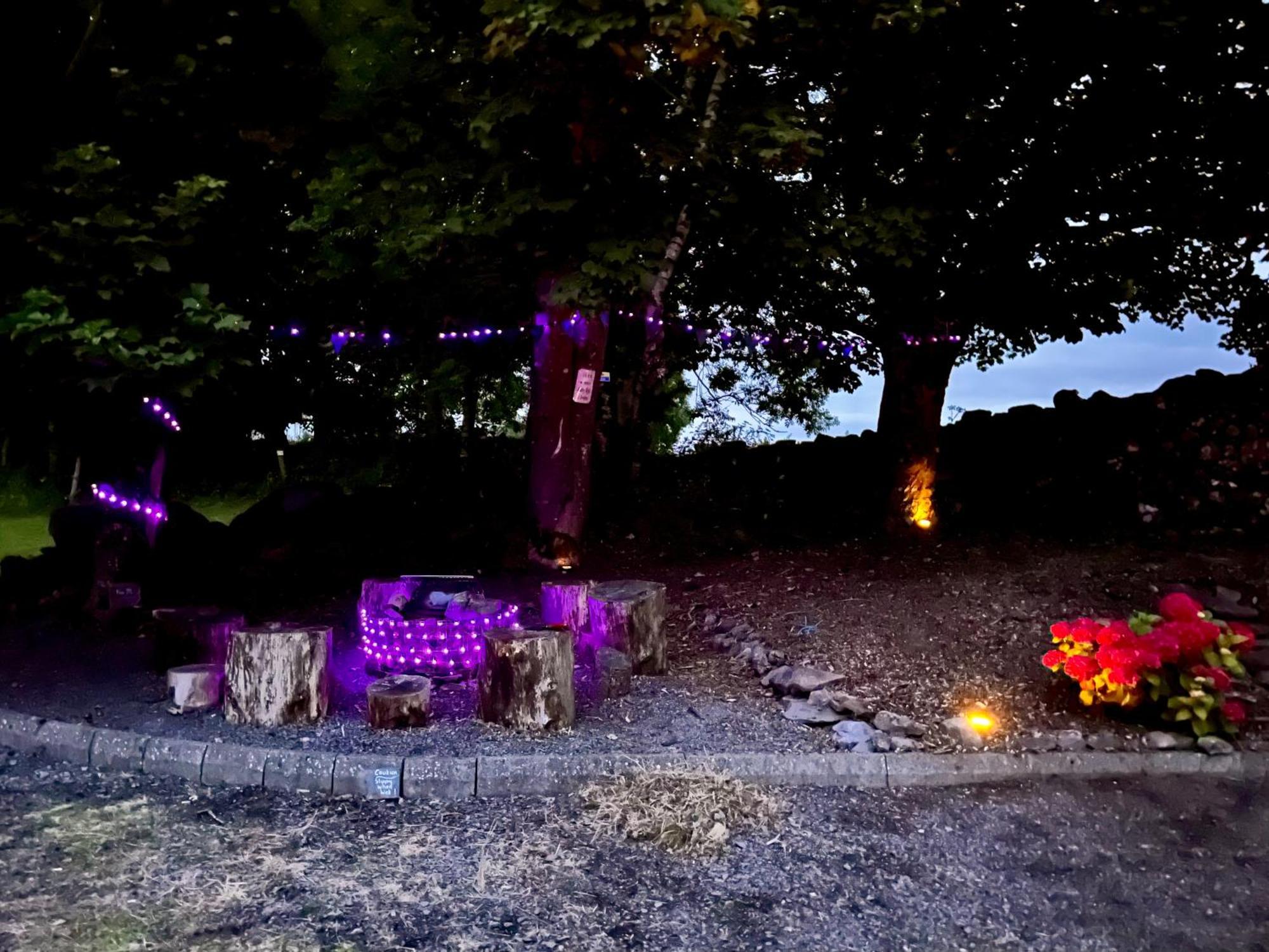 Birch Tree Cottage ويستبورت المظهر الخارجي الصورة